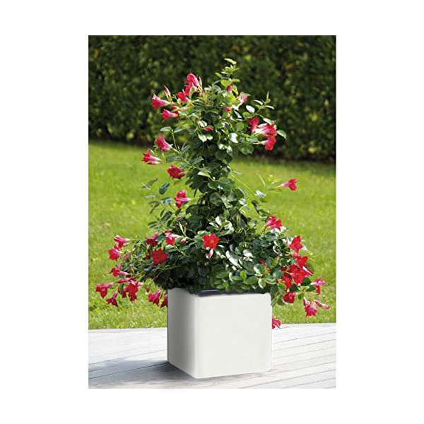 VASO VIAREGGIO CUBO LISCIO VASAR - immagine 5